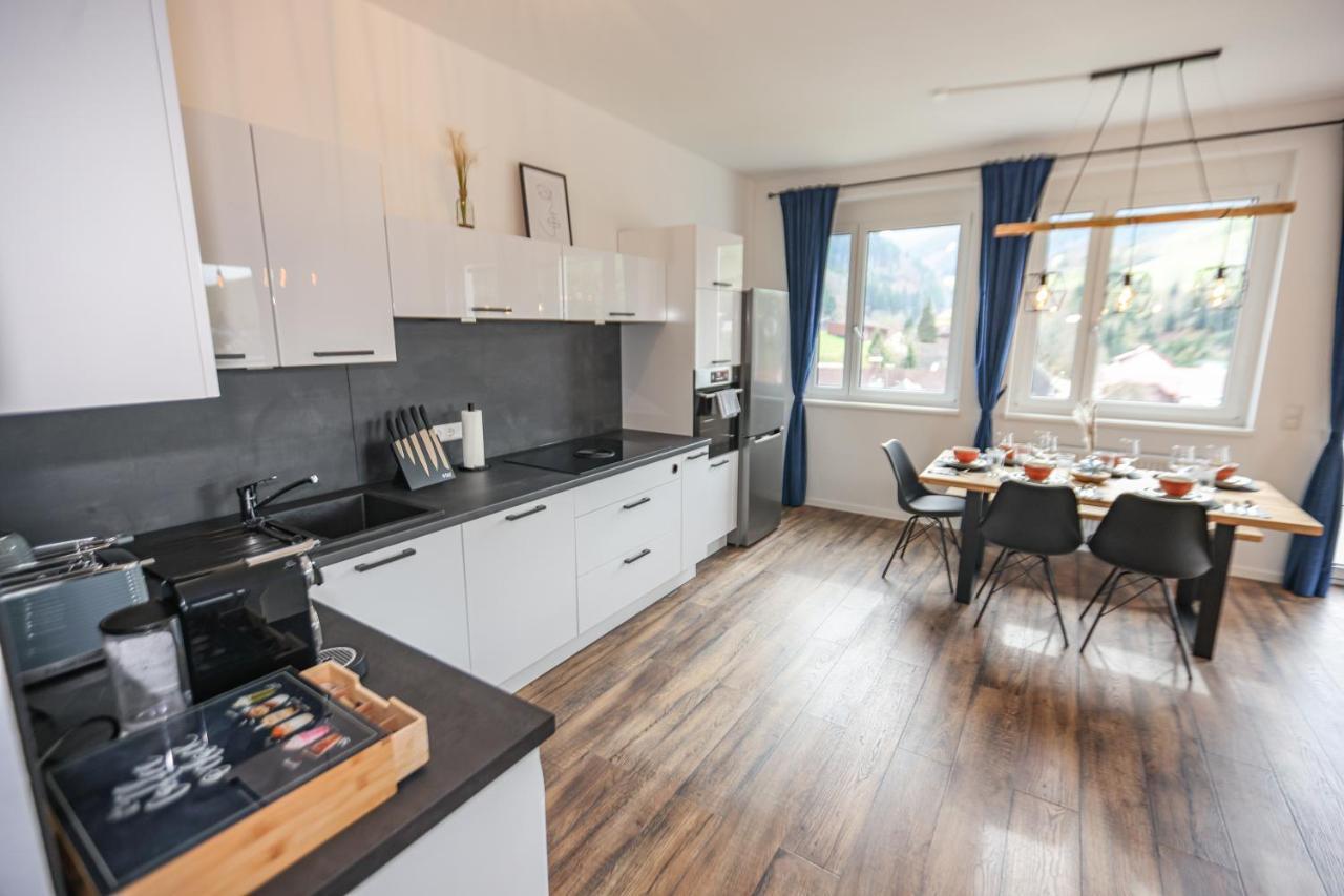 Apartmán Penthouse I 106 Qm I 2 Balkone I Boxspring I Nespresso I Parkplatz Oberharmersbach Exteriér fotografie